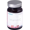 Collalloc Vitamín C 60 g