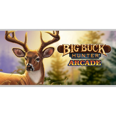 Big Buck Hunter Arcade
