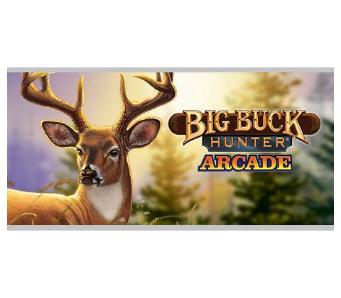 Big Buck Hunter Arcade