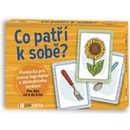 Co patří k sobě?