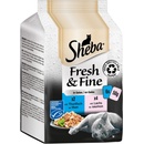 Sheba Fresh & Fine Losos a Tuňák v želé 12 x 50 g