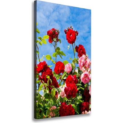 Vertikálny foto obraz na plátne do obývačky Divoká ruža 50x100 cm