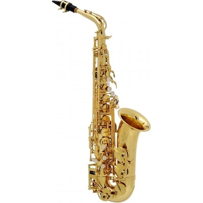 Buffet Crampon 100 series