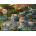 Ravensburger - Puzzle Spring Wolves - 1 500 piese
