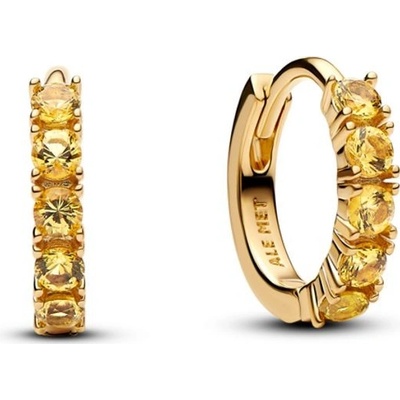 Pandora náušnice 263849C01