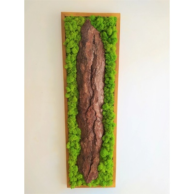 Machový obraz s kôrou 115cm x 35cm