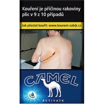 Camel Activate