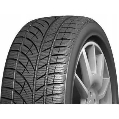 Evergreen EW66 205/50 R17 89H