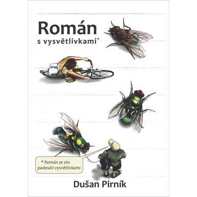 Román s vysvětlivkami - Pirník Dušan