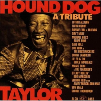 Various - Hound Dog Taylor - A Tribu