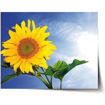 Sablio Plakát Slunečnice 2 - 60x40 cm