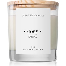 Ambientair The Olphactory Santal (Cosy) 200 g