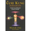 Čchi kung jednoduše - Chia Mantak, Lee Holden