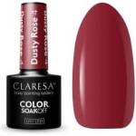 Claresa HYBRID POLISH DUSTY ROSE 4 -5g