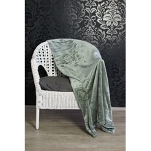 TP Mikro flanel deka Premium Šedá 200x220