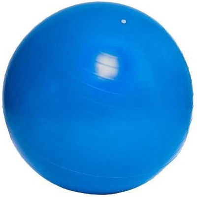 Unison Gymnastický míč 65cm rehabilitační relaxační