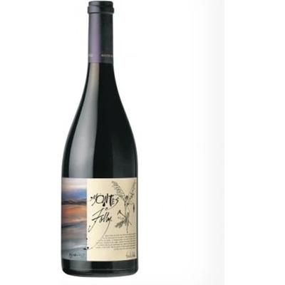 Montes Folly Syrah Syrah/Shiraz suché červené 2020 15% 0,75 l (čistá fľaša)
