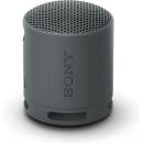 Sony SRS-XB100B