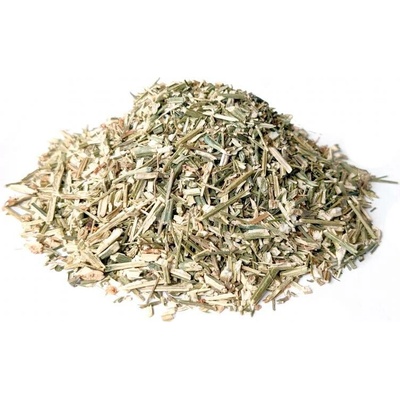 Bylík Právenka nať 100 g