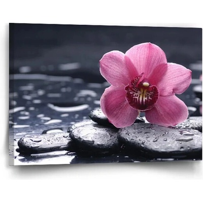 Sablio Obraz Orchidea - 90x60 cm