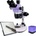 Magus Stereo D8T