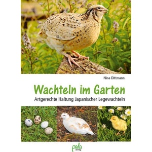 Wachteln im Garten | Nina Dittmann, Bastian Dittmann, Thorben Wenzel, Detlef Dittmann (2025)