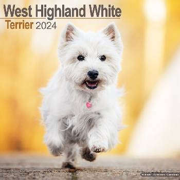 West Highland Teriér 2024