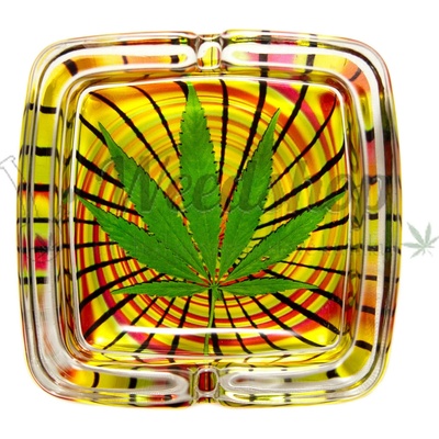 WeedShop Sklenený popolník hranatý List konope List zelený pruhy