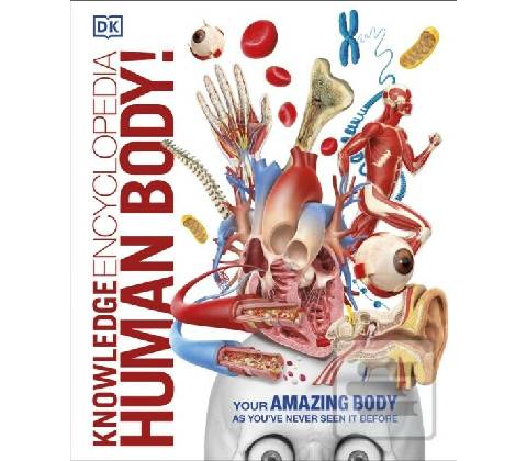 Knowledge Encyclopedia Human Body! DK