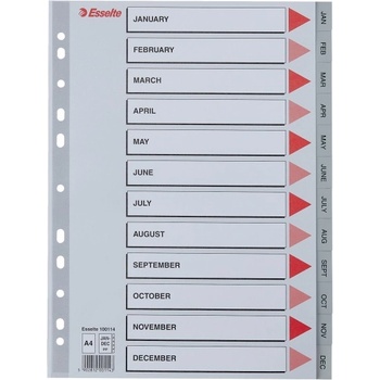 ESSELTE Регистър ESSELTE A/4 plastic Jan-Dec grey 100114 (100114)