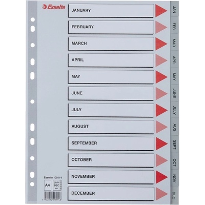 ESSELTE Регистър ESSELTE A/4 plastic Jan-Dec grey 100114 (100114)