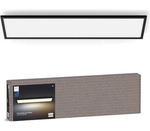 Philips P6834