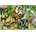 Bluebird Puzzle - Puzzle Desert 1000 - 1 000 piese