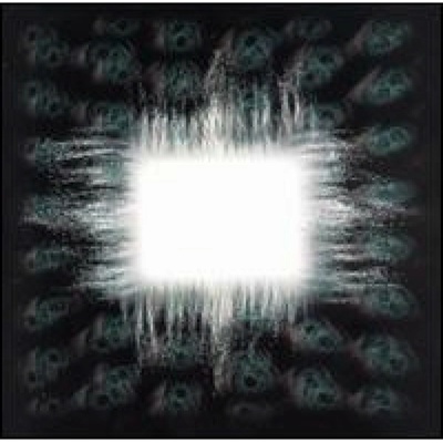 Tool - Aenima CD