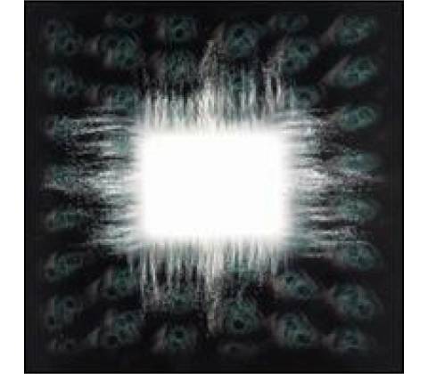 Tool - Aenima CD