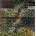 Active Surplus - Mirroring (LP) (0061297790845)