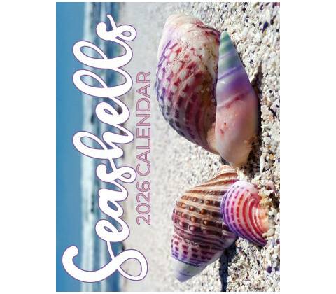 Seashells B. Patrick 2026