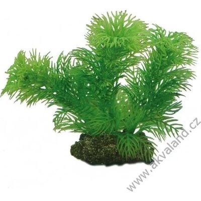 Hobby Egeria 13 cm