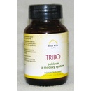 Organic India Tribo 60 kapslí