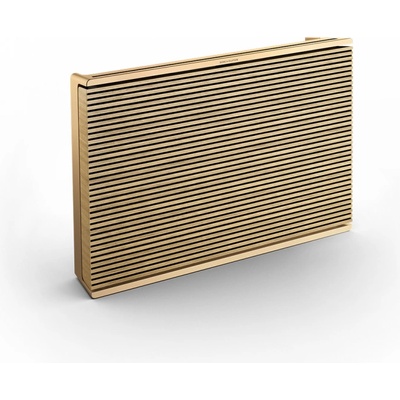 Bang & Olufsen Level