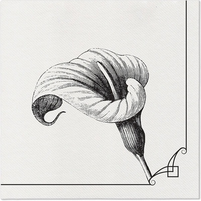 PAW Ubrousky Airlaid Memory flower 40x40cm
