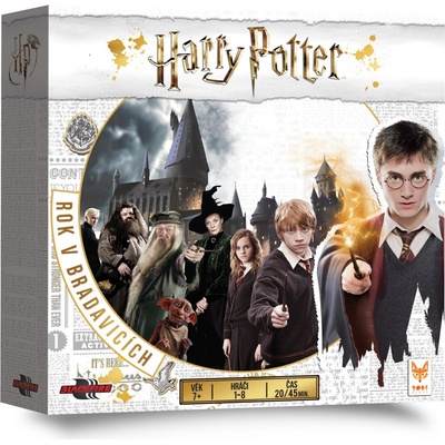 Asmodee Harry Potter: Rok v Bradavicích CZ