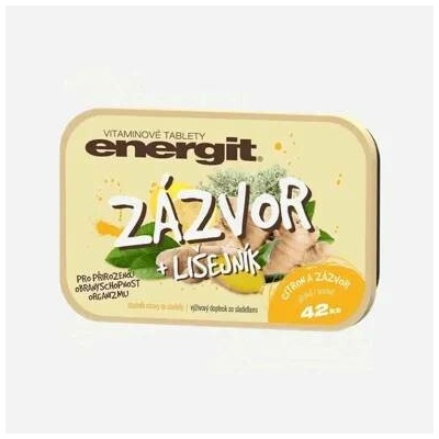 Energit Zázvor a lišejník 6 x 42 tablet