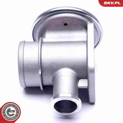 AGR-Ventil ESEN SKV 14SKV179
