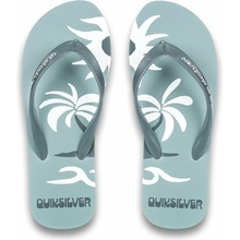 Quiksilver Molokai Screen
