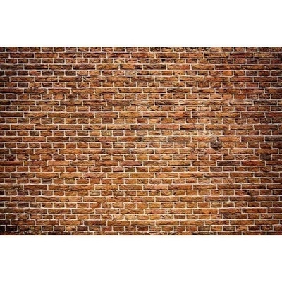 Dimex MS-5-0167 vliesová fototapeta na zeď Starý tehlový múr, rozmery 375 x 250 cm