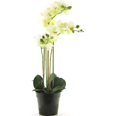 umělá rostlina, Aloe vera zelená V61