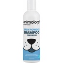 Animology Essentials Baby Powder Šampón pre šteňatá 250 ml