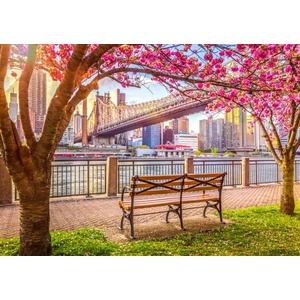 ROOVI - Puzzle New York, USA - 500 piese