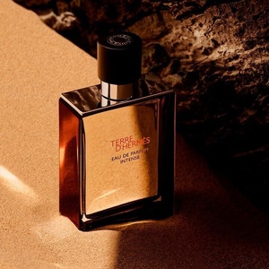 Hermès Terre D'Hermes (Intense) EDP 100 ml Tester Парфюми